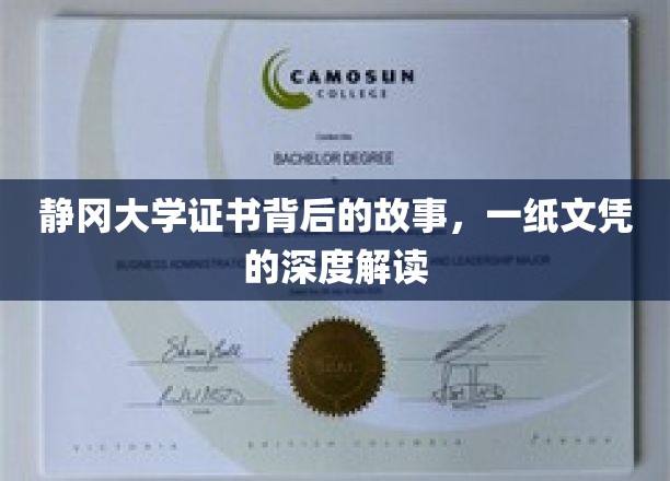 静冈大学文凭背后的传奇，探索一纸证书的深远意义