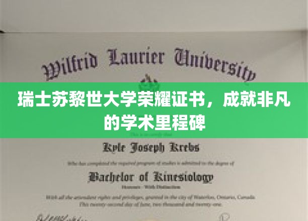 瑞士苏黎世大学荣誉证书，见证非凡的学术里程碑