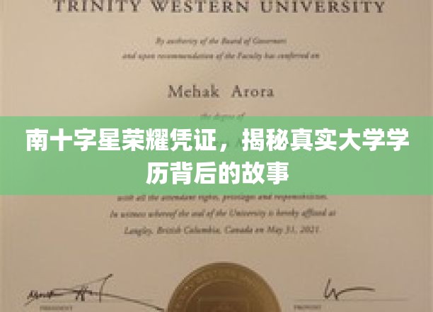 解锁南十字星学历凭证，探寻高校荣耀背后的神秘面纱