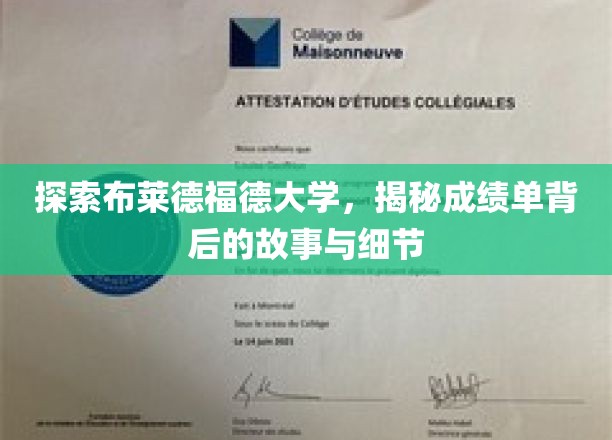 揭开布莱德福德大学成绩单的秘密，探寻背后的学术奥秘