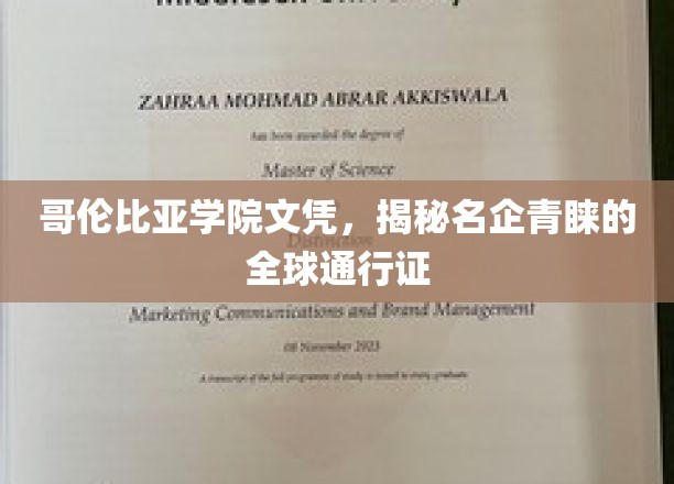 哥伦比亚学院文凭，揭秘名企青睐的全球通行证