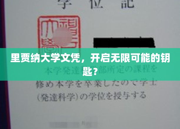 解锁未来，里贾纳大学文凭，开启职业生涯新篇章