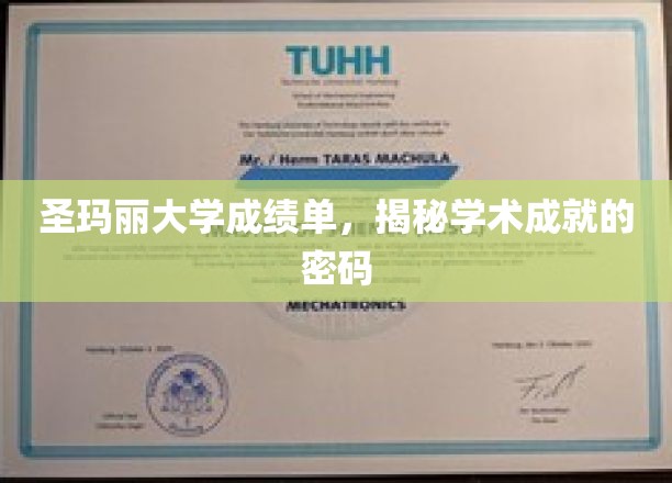 解码圣玛丽大学，揭开学术荣耀的秘密面纱
