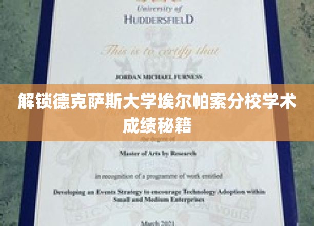 德克萨斯大学埃尔帕索分校，揭秘高效学业成就之道