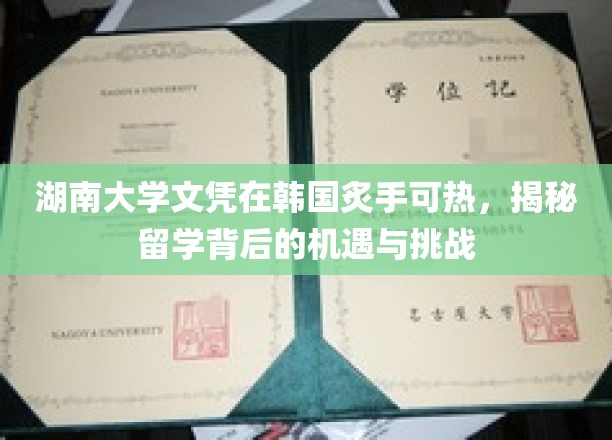 韩流中的中国文凭，湖南大学在韩国的受欢迎之谜