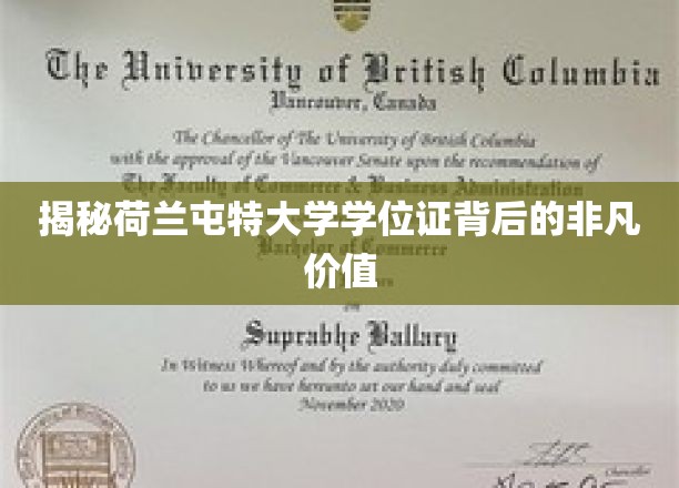 荷兰屯特大学学位证，解锁非凡学术与职业双丰收的秘密钥匙