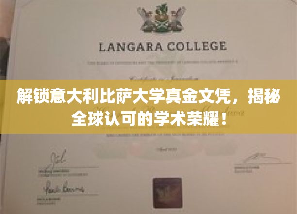 意大利比萨大学文凭之谜，探寻国际认可的学术荣耀之路