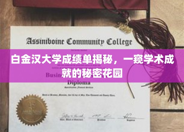 白金汉大学成绩单背后，探寻精英教育的璀璨星河