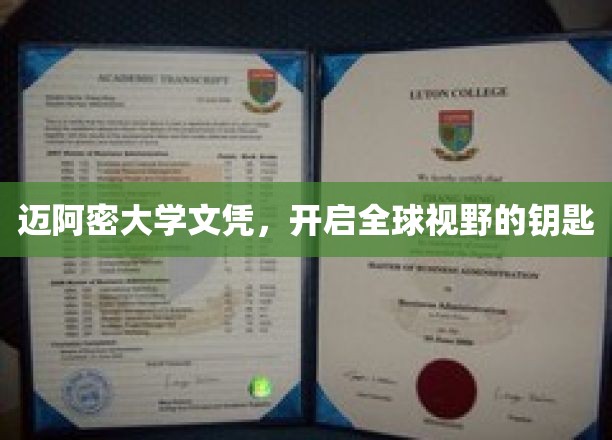 迈阿密大学文凭，解锁全球视野的通行证