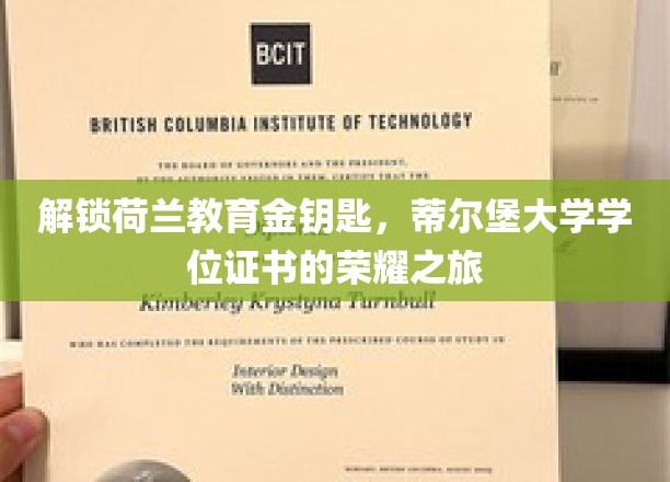 解锁荷兰教育金钥匙，踏上蒂尔堡大学学位证书的荣耀之旅