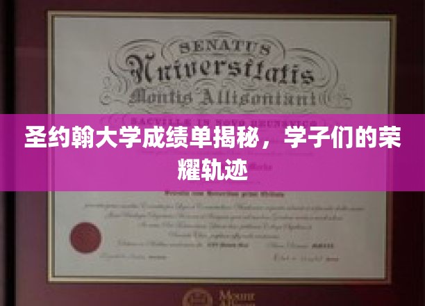 圣约翰大学成绩单揭秘，学子们的荣耀轨迹