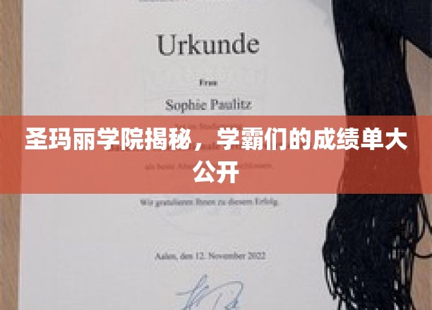 圣玛丽学院学霸风云录，揭秘成绩单背后的秘密力量