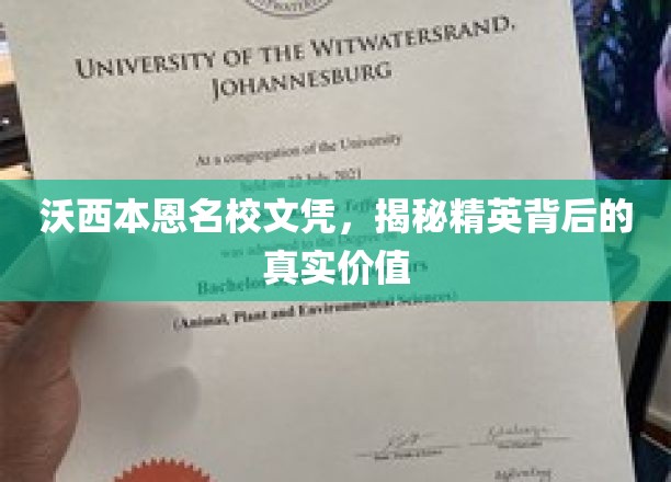 名校光环下的沃西本恩，探寻精英教育背后的深层价值