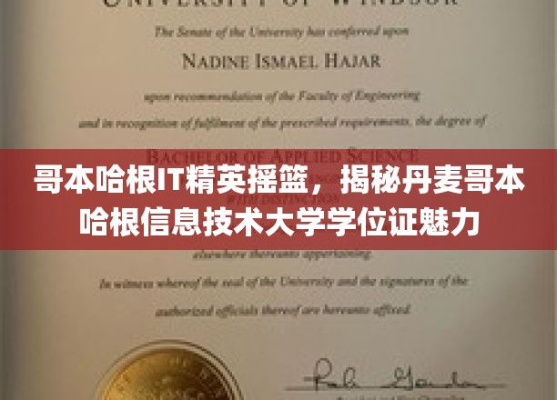 哥本哈根IT精英摇篮，揭秘丹麦哥本哈根信息技术大学学位证魅力