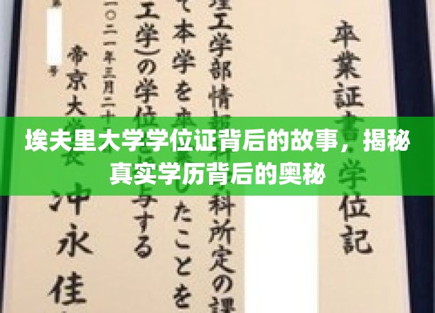 埃夫里大学学位证之谜，探寻学历认证背后的不为人知篇章