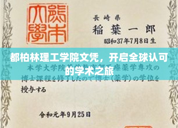 都柏林理工学院文凭，迈向国际认可的学术殿堂