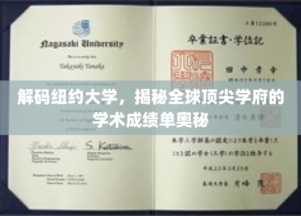 探寻纽约大学，解码世界级学府的卓越成就密码