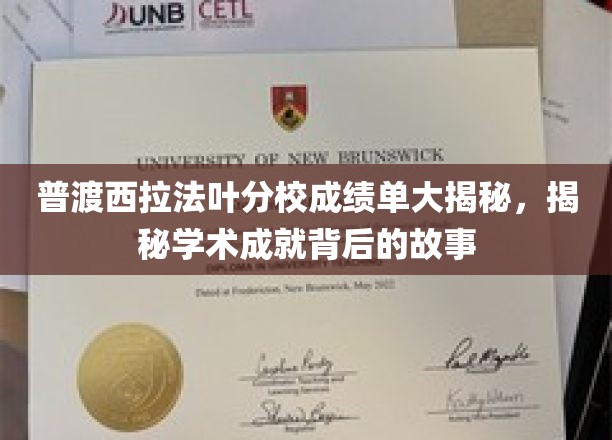 解码普渡西拉法叶分校高分背后，探寻学子们的学术传奇