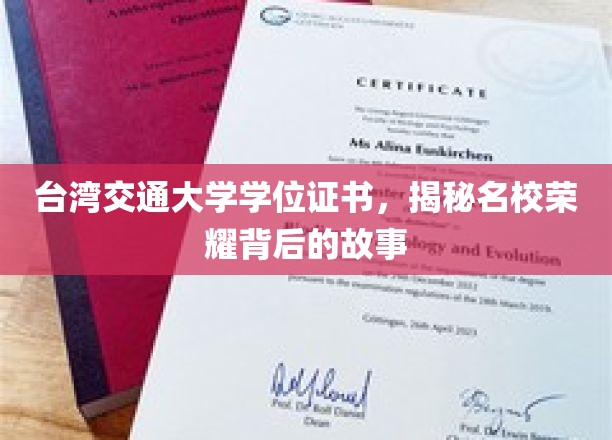 解码台交荣耀，学位证书背后的名校传奇