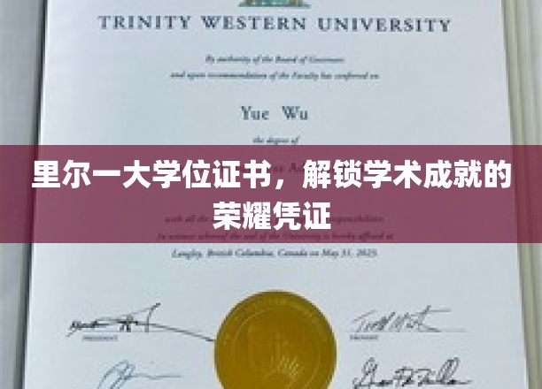 里尔大学证书，成就荣耀的学术里程碑