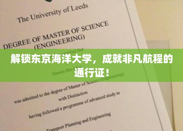 解锁东京海洋大学，成就非凡航程的通行证！