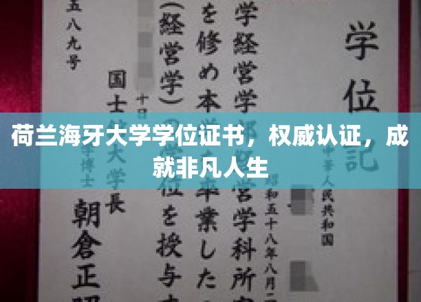 荷兰海牙大学荣耀学位，开启非凡人生新篇章