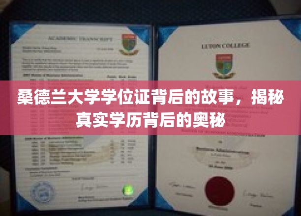 探寻桑德兰大学学位证背后的传奇，揭秘学历背后的非凡历程