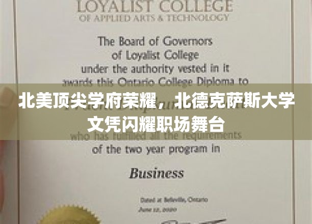 北美精英学府北德克萨斯大学，毕业文凭照亮职场星光路
