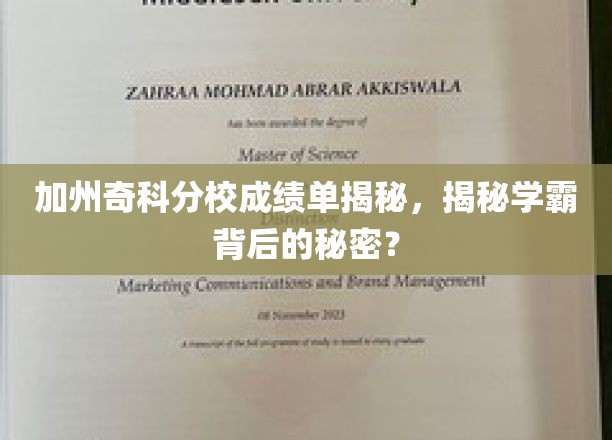 加州奇科分校成绩单揭秘，一探学霸背后的奥秘？