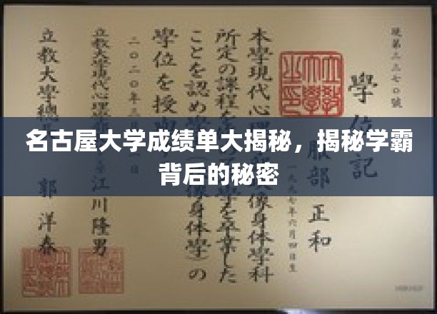 名古屋大学学霸养成记，揭开成绩单背后的奥秘