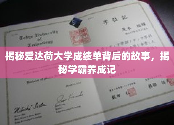 解码爱达荷学霸之路，揭秘成绩单背后的成长奥秘