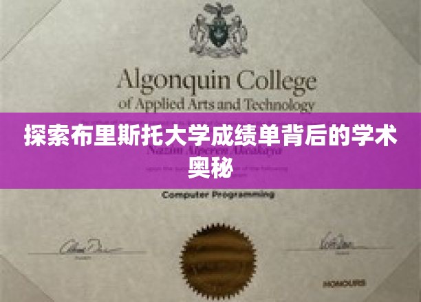 解码布里斯托大学成绩单，揭秘学术成就的神秘面纱