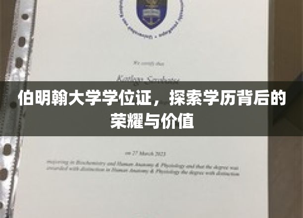 伯明翰大学学位证，探寻学历背后的荣耀与价值