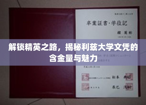 利兹大学文凭，开启精英生涯的钥匙与独特吸引力