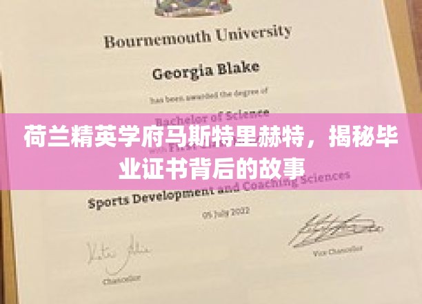 马斯特里赫特精英学院，毕业证书背后的传奇与奥秘