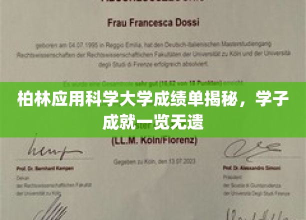 柏林应用科学大学学子风采，一纸成绩单，尽显卓越成就