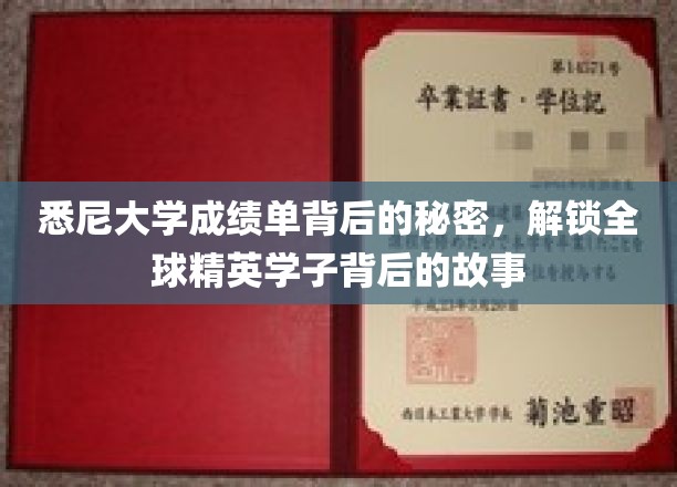 悉尼大学成绩单解码，揭秘国际学霸成长轨迹