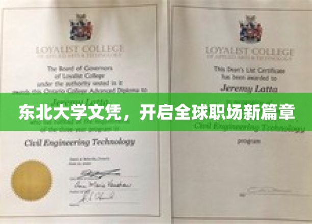 东北大学文凭，开启全球职场新篇章