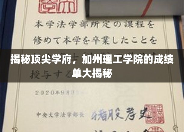 揭秘顶尖学府，加州理工学院的成绩单大揭秘