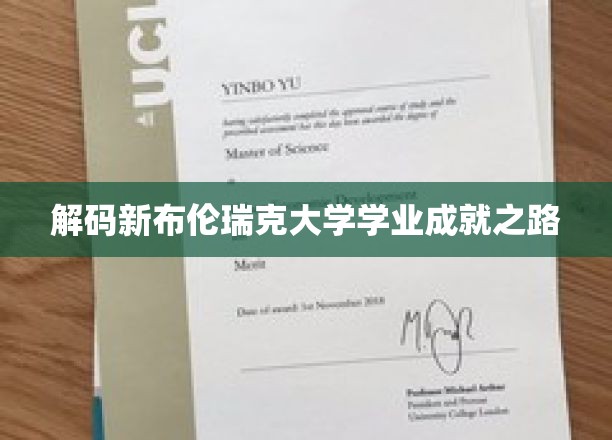 探索新布伦瑞克大学卓越学业的秘密通道