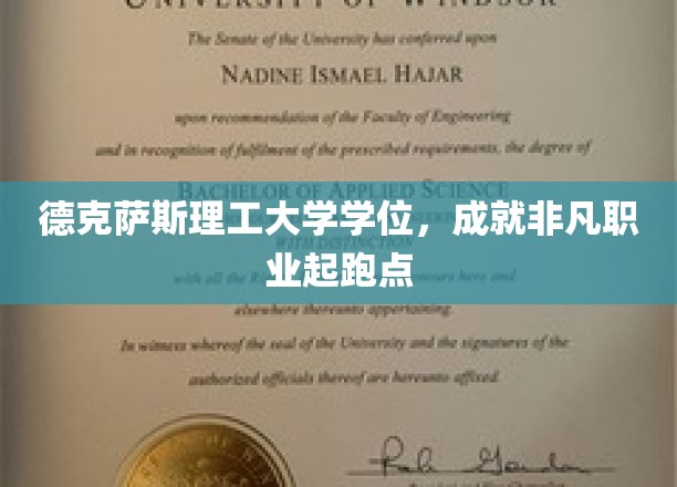 德克萨斯理工学历，铸就非凡职业生涯新篇章