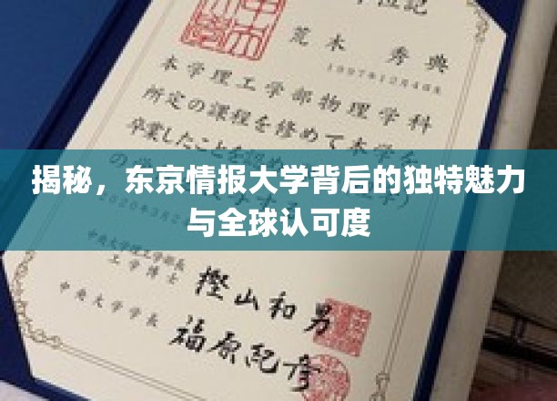 东京情报大学，国际视野中的教育瑰宝与非凡影响力