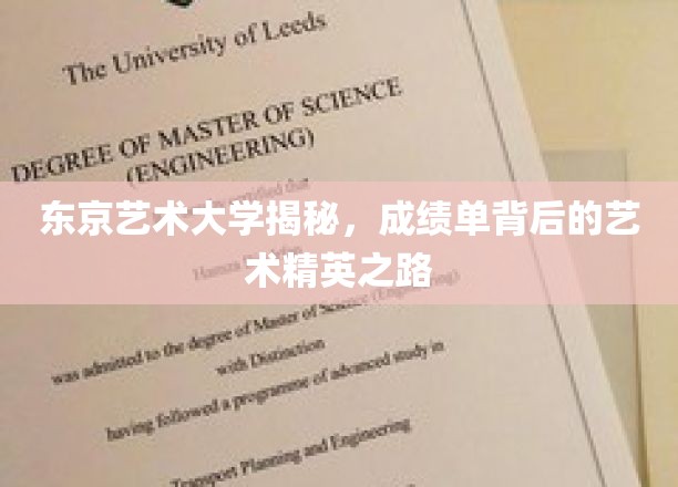 东京艺术大学揭秘，成绩单背后的艺术精英之路