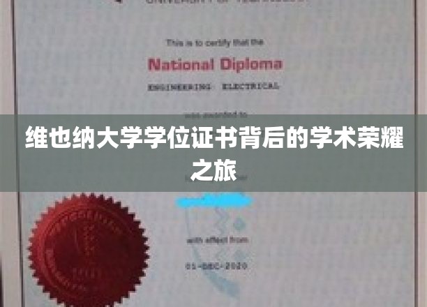 维也纳大学学位证书背后的学术荣耀之旅