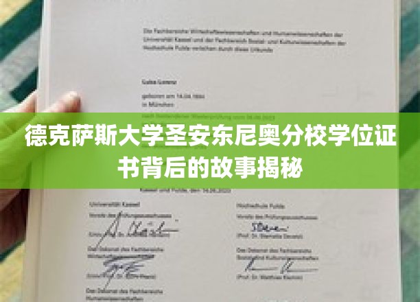 德克萨斯大学圣安东尼奥分校学位证书背后的故事揭秘
