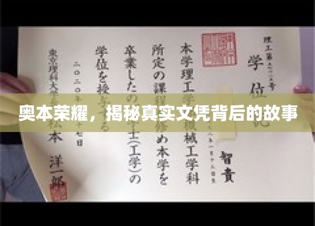 奥本辉煌揭秘，文凭背后不为人知的传奇历程