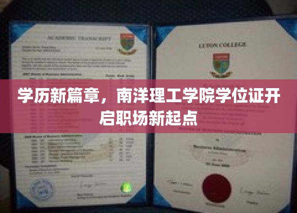 学历飞跃新纪元，南洋理工学院学位证助力职场起航