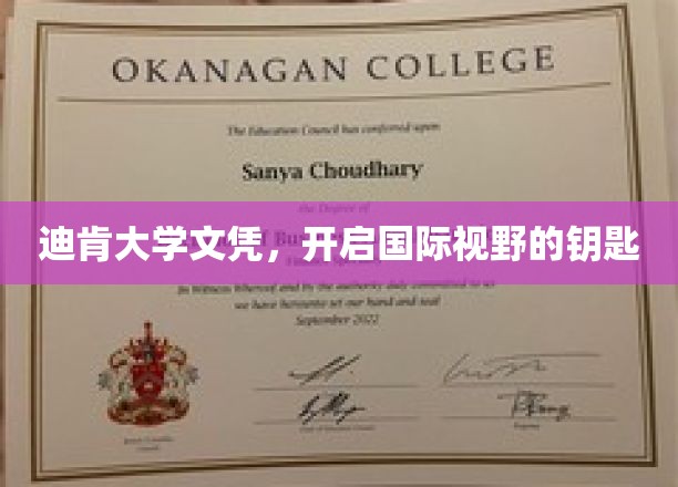 迪肯文凭，解锁全球视野的通行证