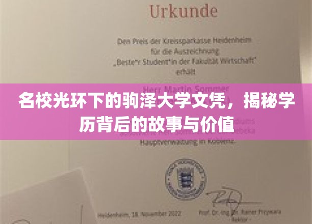 名校光环背后的驹泽大学，探究学历的深层价值与传奇故事