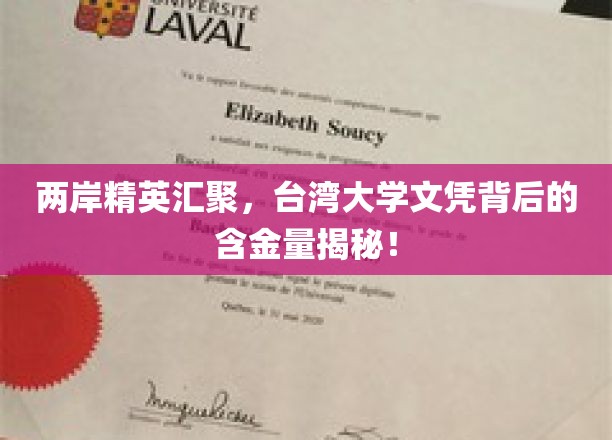 探寻台湾大学文凭的黄金价值，两岸精英共鉴名校魅力